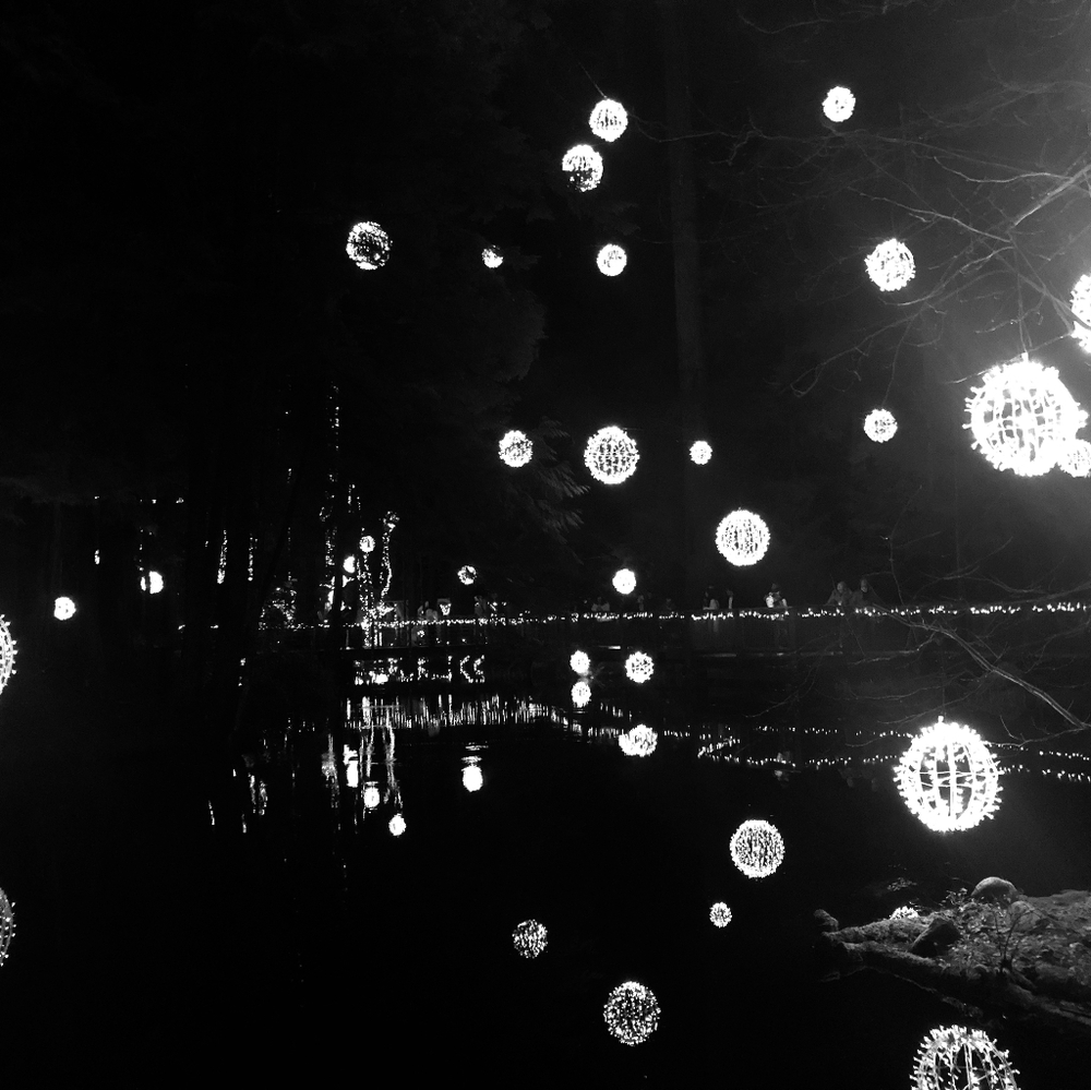 Meet your Posher, Sean